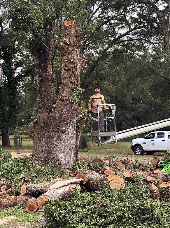 Storm Cleanup Services