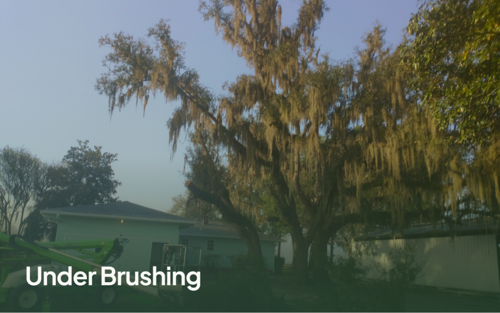 Underbrushing in McAlpin