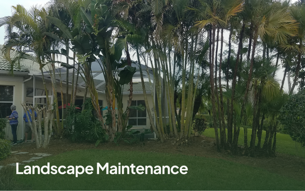 McAlpin Landscape Maintenance