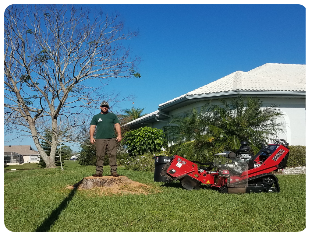 Trusted Local Experts