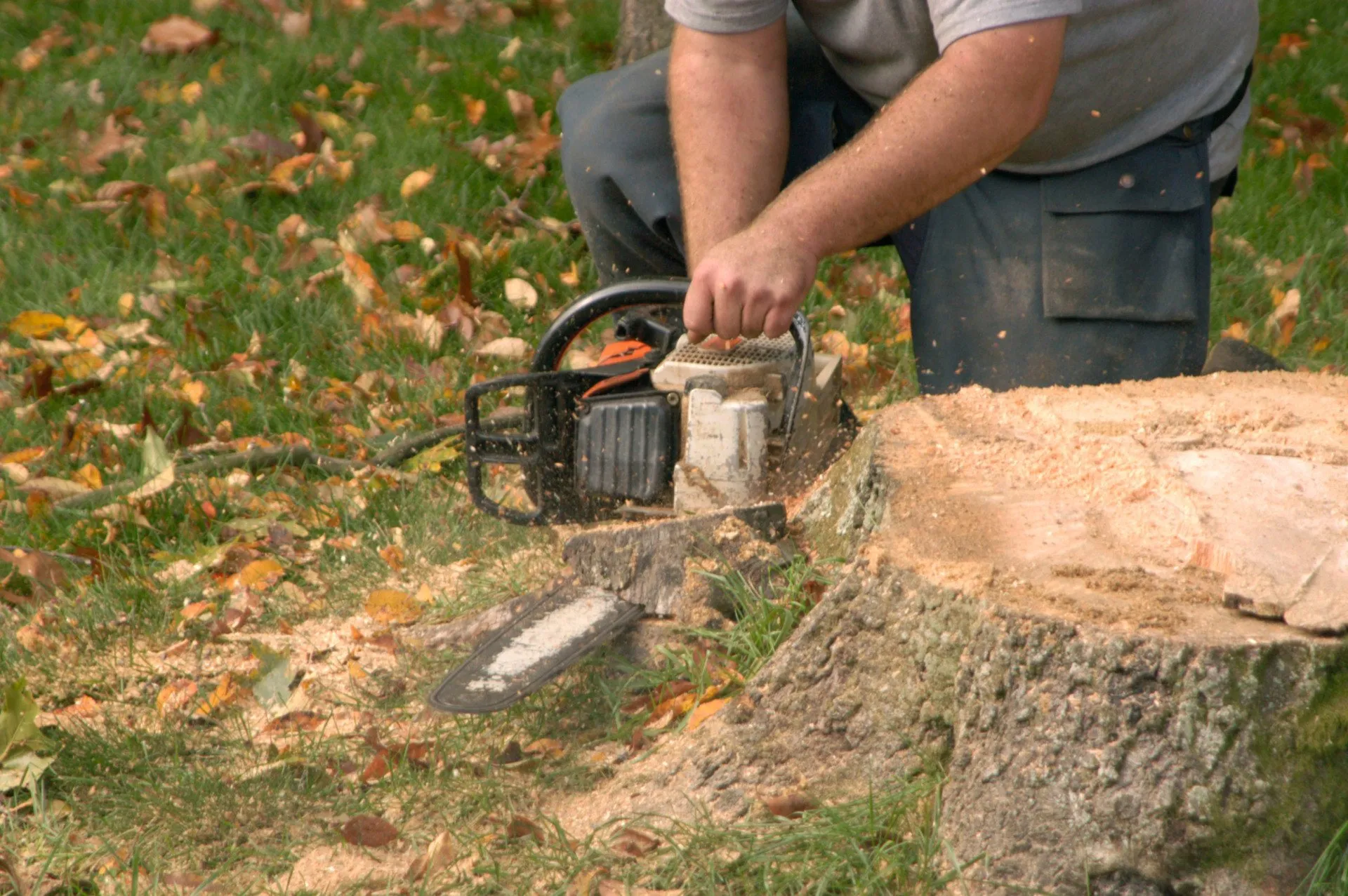 Stump Grinding Services