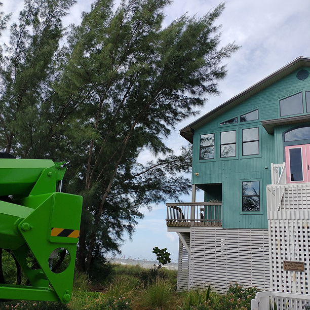 Stump Grinding McAlpin, FL