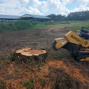 Stump grinding service