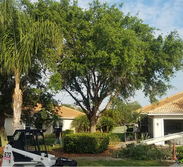 Landscape Maintenance in Lake City, FL