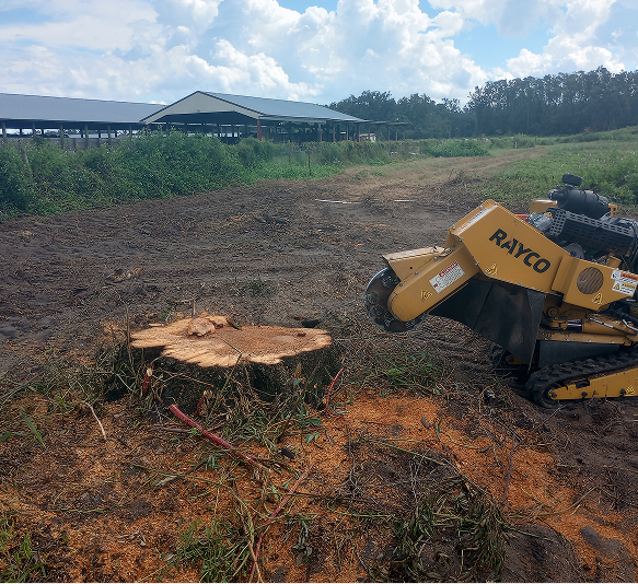Stump Grinding in Lake City, FL