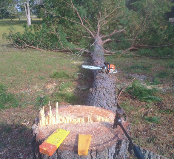 Storm Cleanup in Lake City, FL