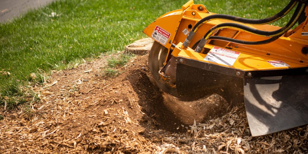 How Long Does It Take To Grind a Tree Stump?